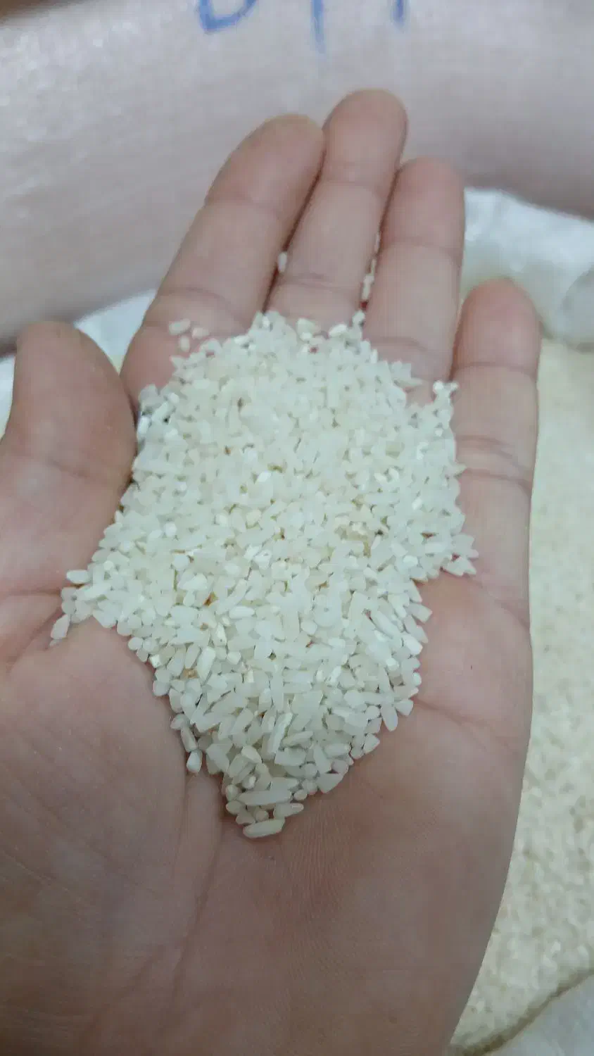 برنج هاشمی و نیمدانه هاشمی|خوردنی و آشامیدنی|رشت, پیرکلاچای|دیوار