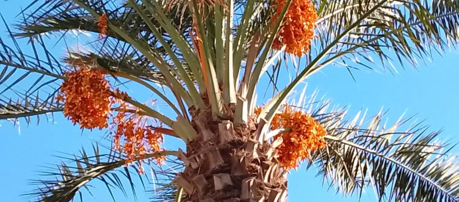 نیازمندضامن بنیادشهید یاایثارگر|فعالیت داوطلبانه|سرپل ذهاب, |دیوار