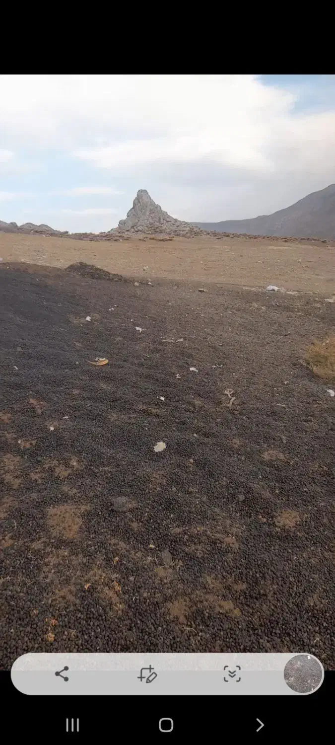 کود حیوانی بسیار تمیز|گل و گیاه طبیعی|خرمآباد, |دیوار