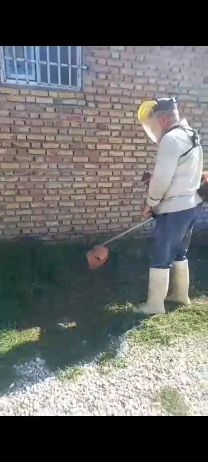 خدمات باغی|خدمات باغبانی و درختکاری|گنبد کاووس, |دیوار