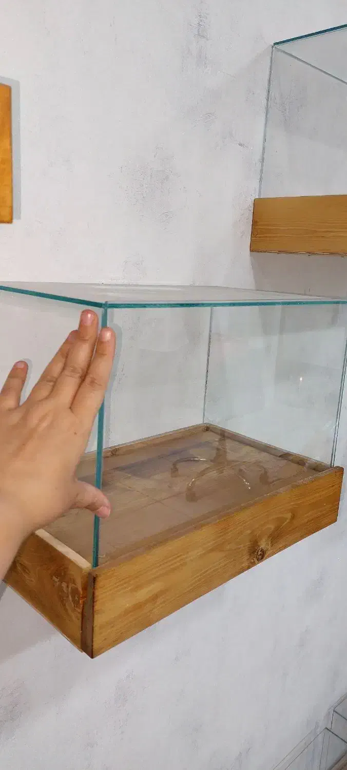 باکس چوب شیشه|کتابخانه، شلف، قفسههای دیواری|شیراز, تندگویان|دیوار