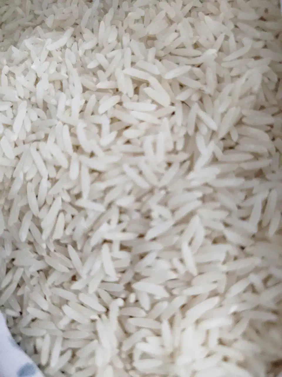 عرضه مستقیم برنج ایرانی سرگل|خوردنی و آشامیدنی|شاهرود, |دیوار