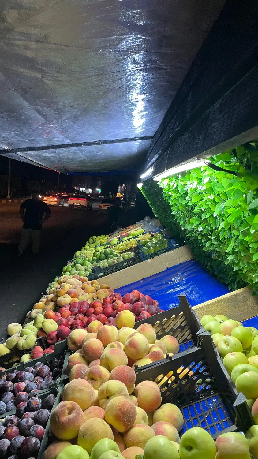 فروش گاری میوه|فروشگاه و مغازه|ماسال, |دیوار