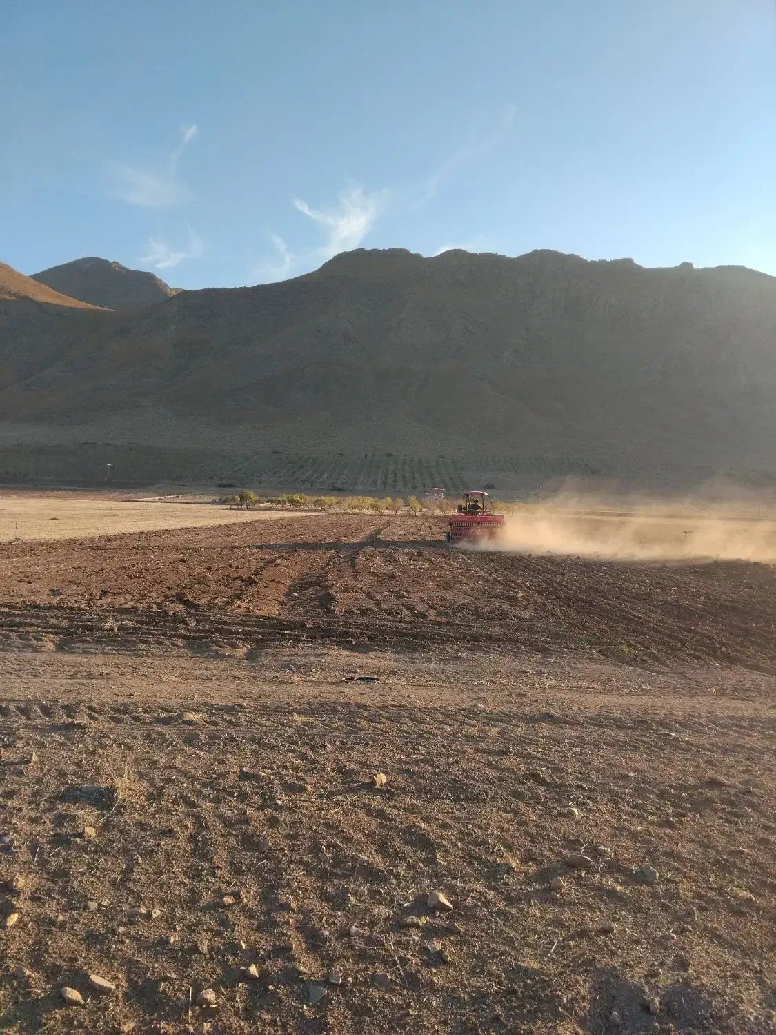 زمین کشاورزی مناسب گلخانه باغ|فروش دفتر صنعتی، کشاورزی، تجاری|داران, |دیوار