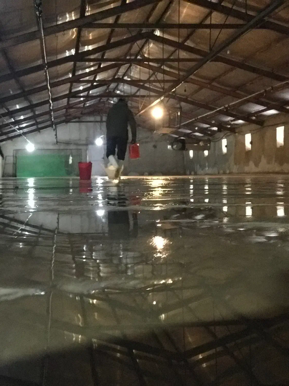 نیروی مرغداری|استخدام صنعتی، فنی، مهندسی|قزوین, |دیوار