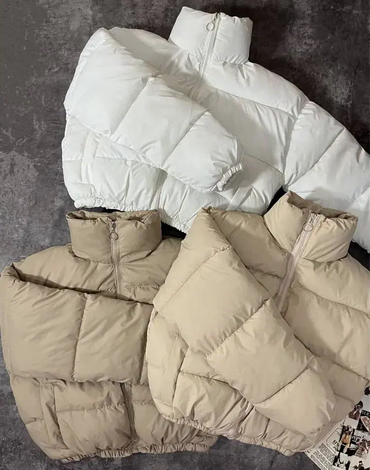 کاپشن پفکی|لباس|بهبهان, |دیوار