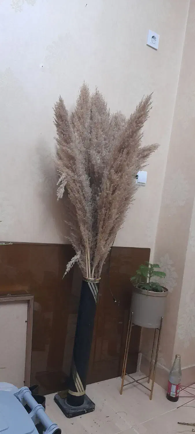 گل حراج|گل مصنوعی|بندرعباس, |دیوار