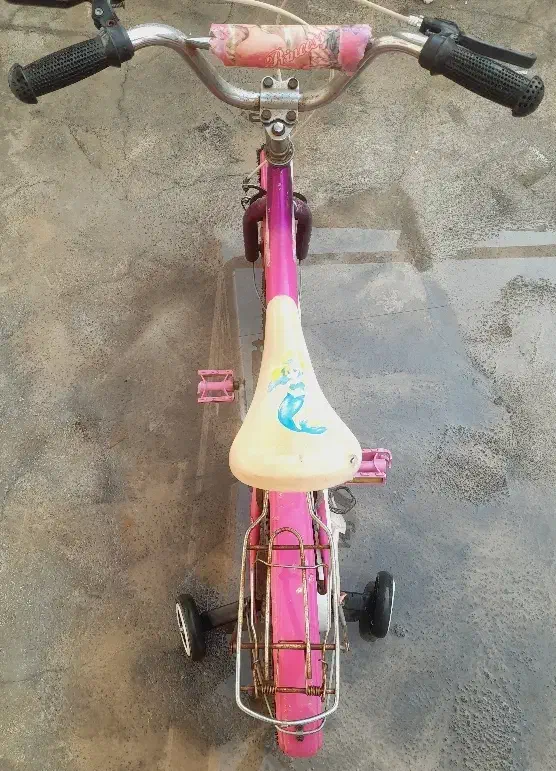 دوچرخه سایز ۱۶|دوچرخه، اسکیت، اسکوتر|بندر کنگان, |دیوار