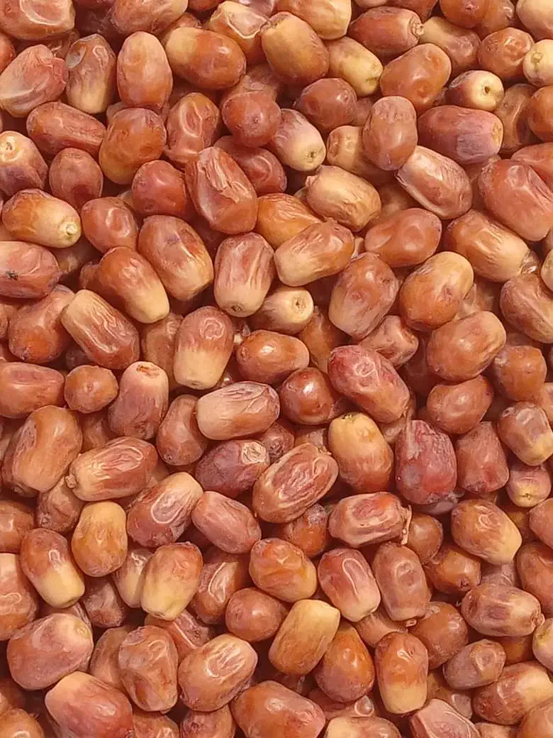 خرما زاهدی /قصب درجه یک محصول امسال|خوردنی و آشامیدنی|شیراز, شهرک گلستان|دیوار