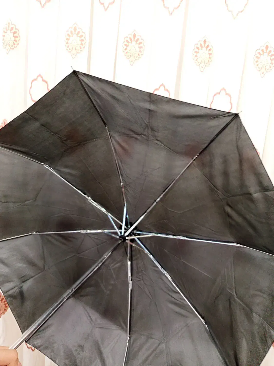 چتر جیبی|کوهنوردی و کمپینگ|بانه, |دیوار