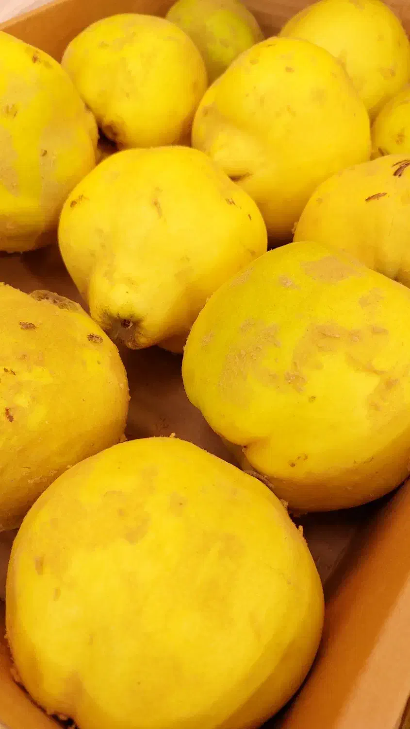 بِه اصفهان خوش عطر و طعم + هایپر میوه گلچین|خوردنی و آشامیدنی|شاهدشهر, |دیوار