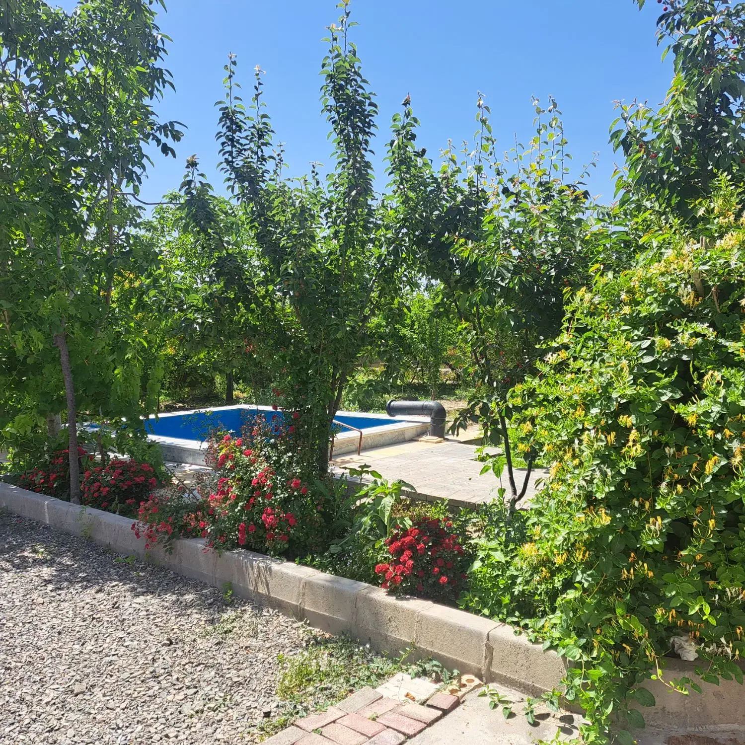 باغ|فروش خانه و ویلا|چناران, |دیوار