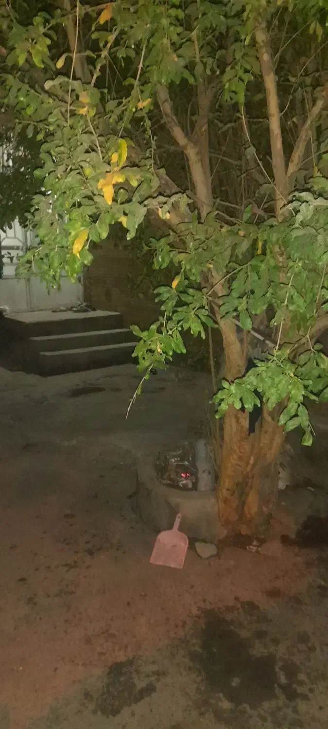 فروش ملک دو طبقه با مغازه در شاهد|فروش خانه و ویلا|تربت جام, شهرک آزادگان|دیوار