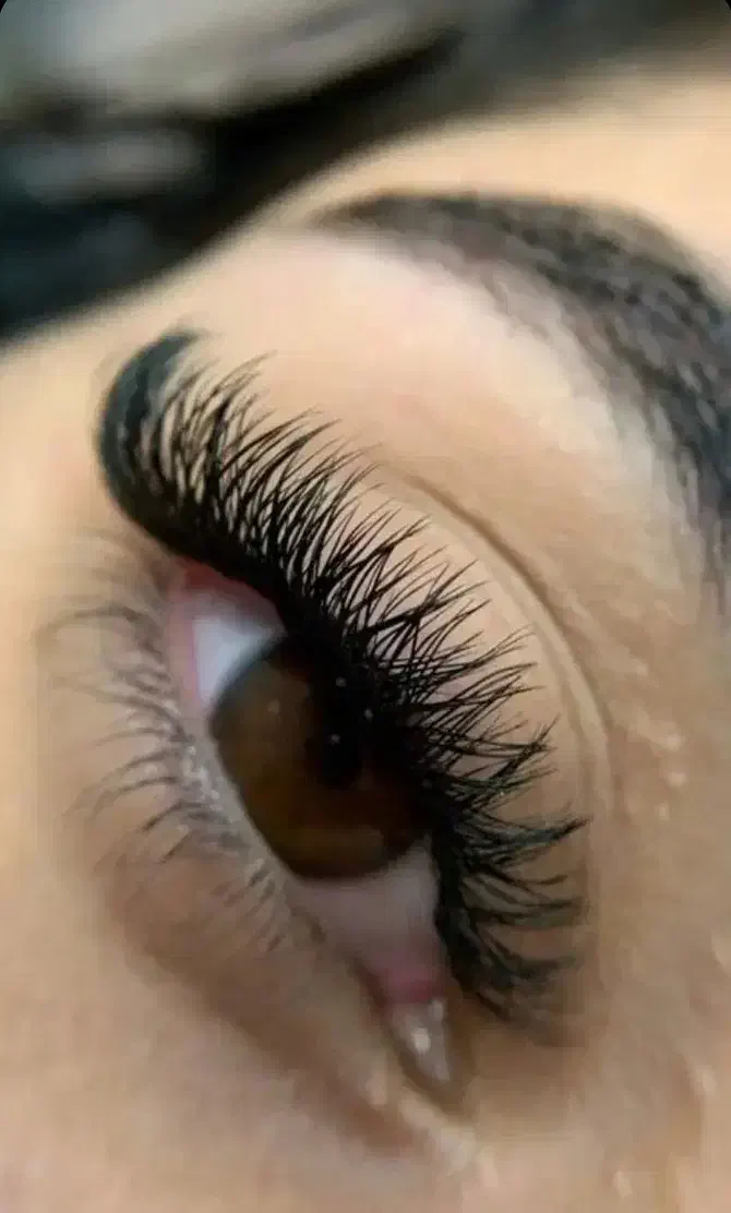 کاشت مژه هیدن وفیشر|خدمات آرایشگری و زیبایی|رشت, معلولین|دیوار