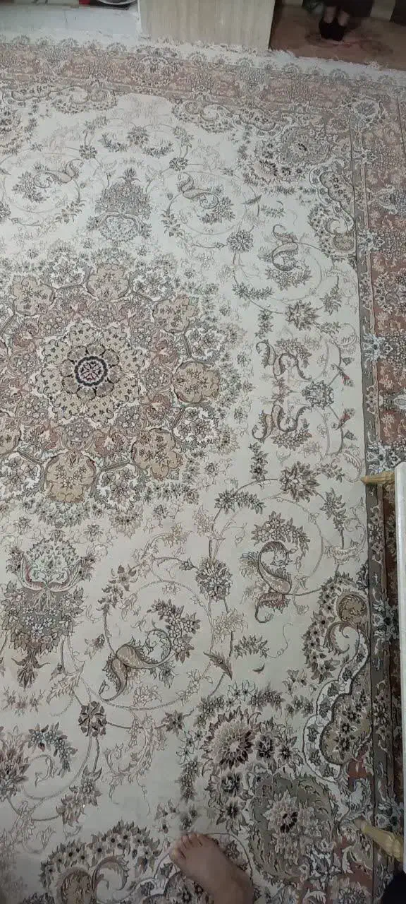 فرش 12متری|فرش|طبس, |دیوار