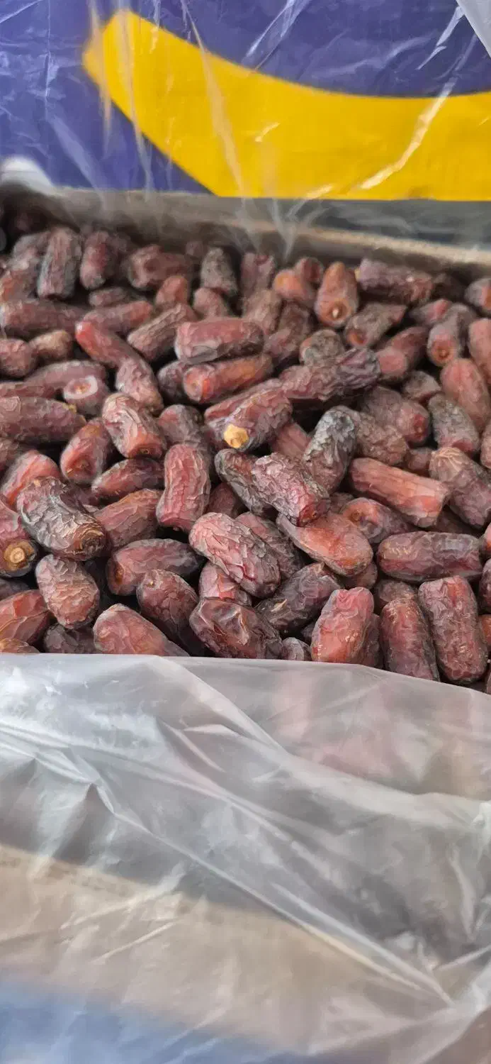 پیارم درجه ۱|خوردنی و آشامیدنی|حاجی آباد, |دیوار