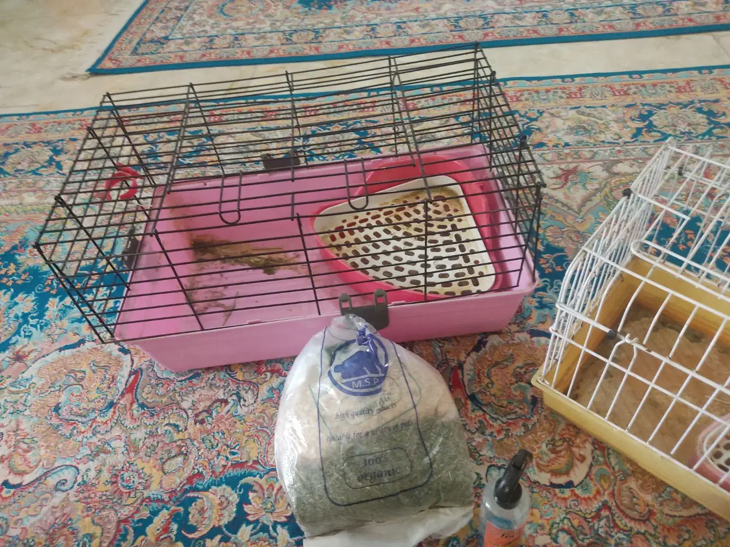 قفس خرگوش وخوکچه|لوازم جانبی حیوانات|فردیس, سرحد آباد|دیوار