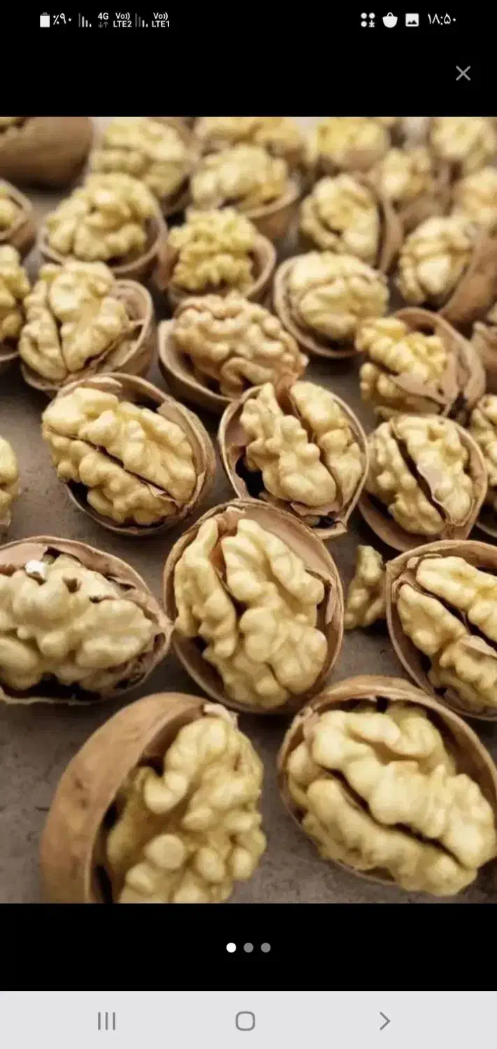 گردو بوانات درجه یک سوپر به قیمت عمده|خوردنی و آشامیدنی|شیراز, شهرک گلستان|دیوار