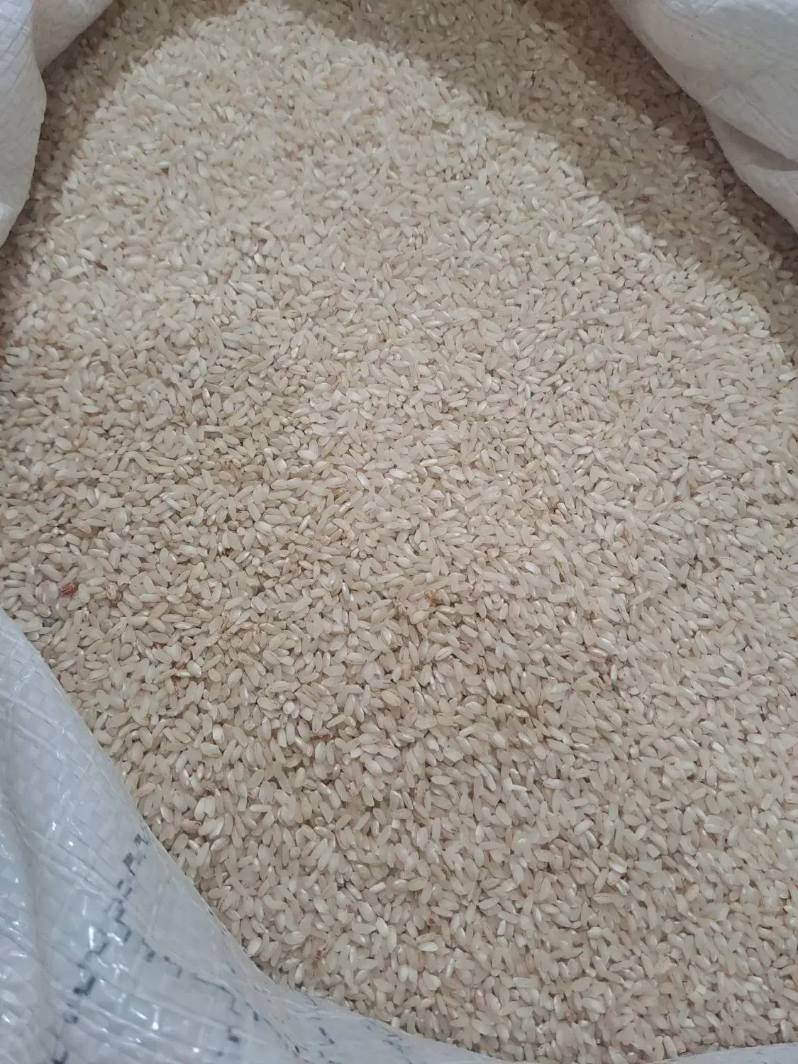 برنج عنبربو|خوردنی و آشامیدنی|دره شهر, |دیوار