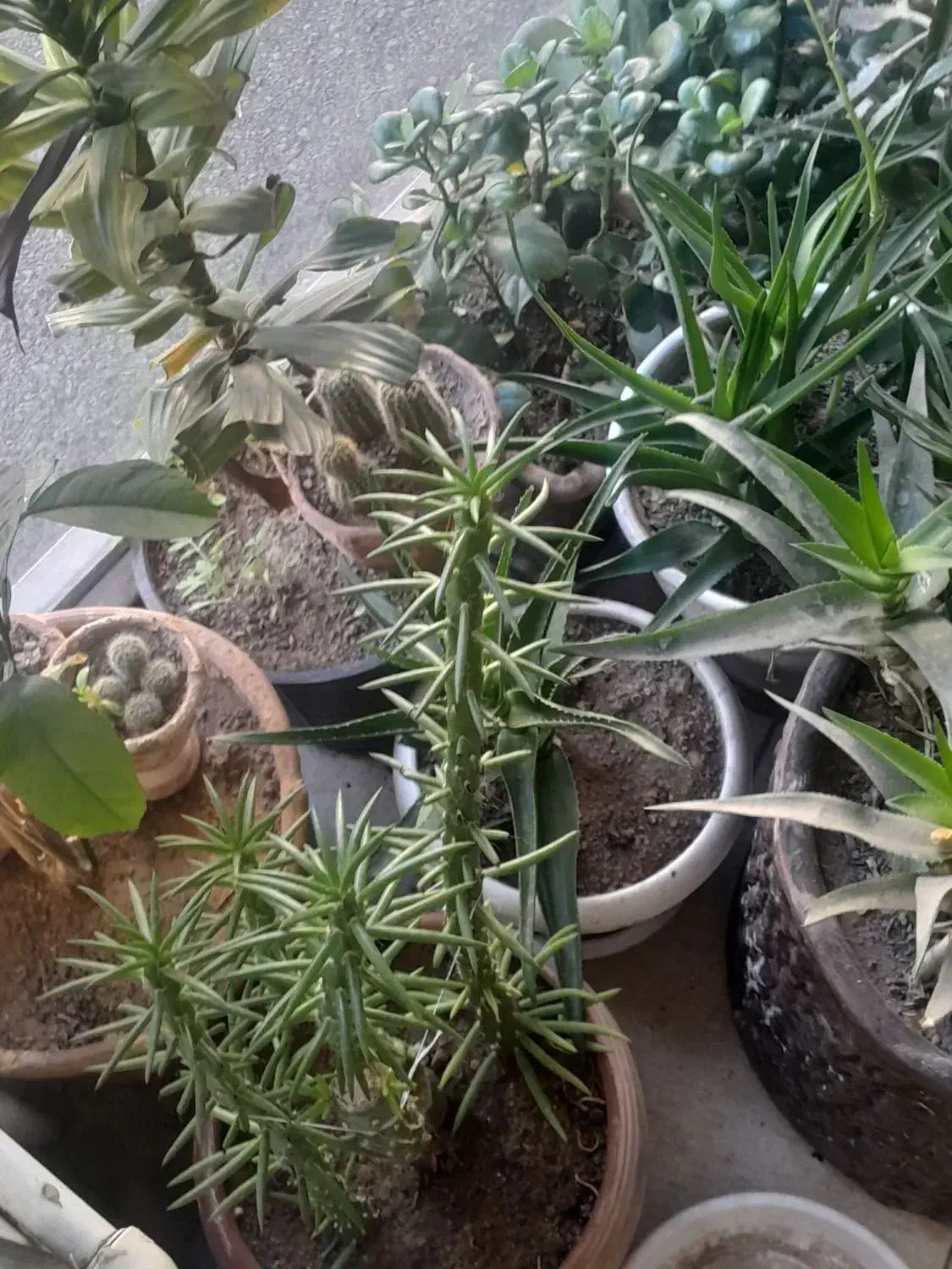 گلدان بزرگ سفالی عتیقه وجاسیگاری قدیمی|کلکسیون اشیاء عتیقه|زنجان, |دیوار