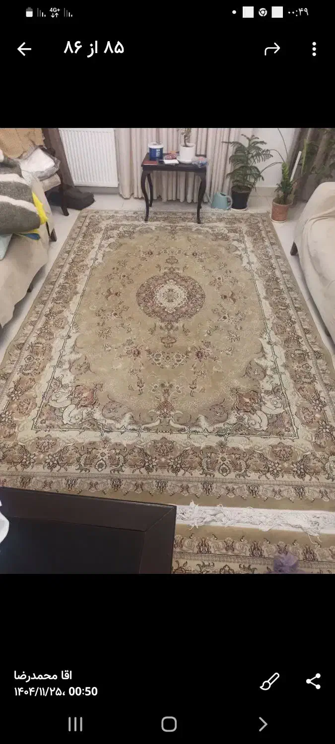 فرش|فرش|تهران, استخر|دیوار