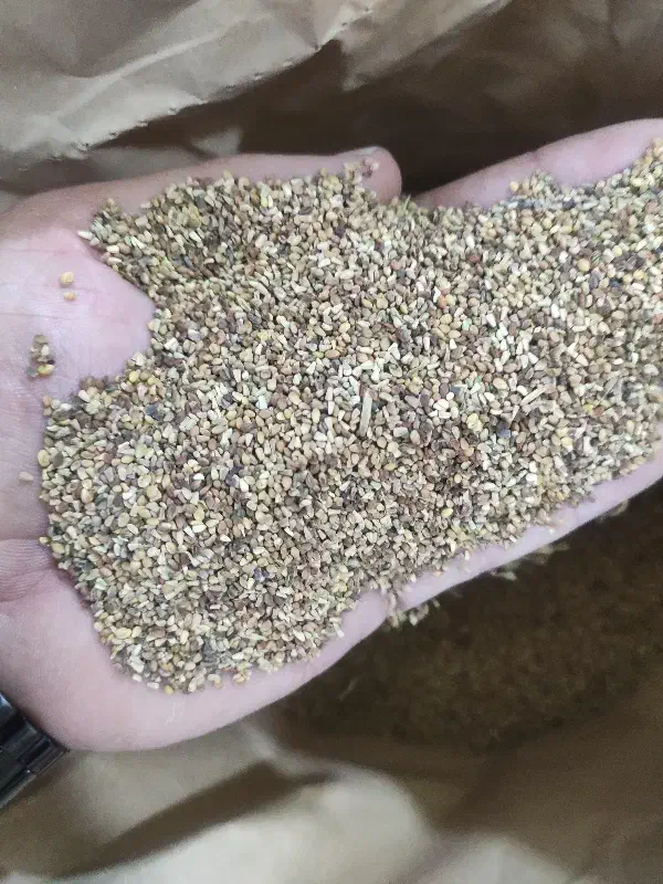 بذر شبدر برسیم|خدمات باغبانی و درختکاری|گرگان, |دیوار