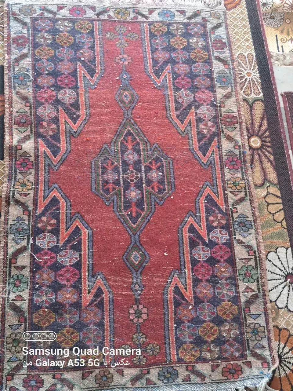 پادری دست بافت نیم زری احمد خان|فرش|تهران, فردوسی|دیوار