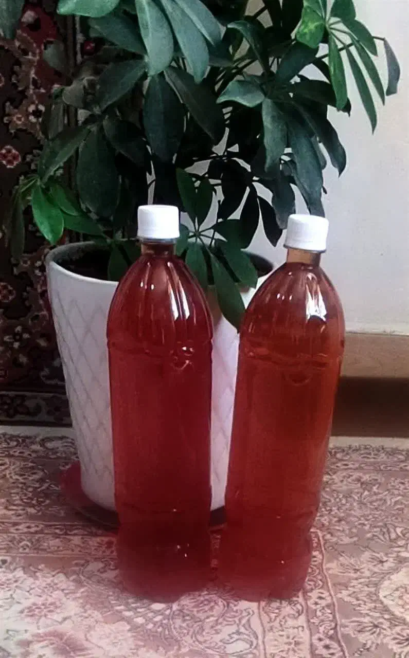 آبغوره دست ساز محلی|خوردنی و آشامیدنی|اصفهان, بیدآباد|دیوار