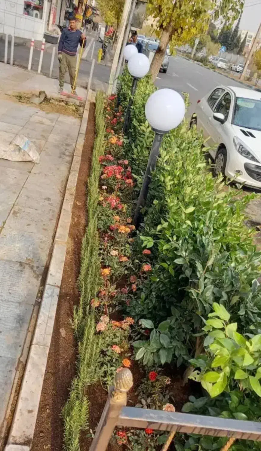 خدمات باغبانی باغچه کاری گلکاری تعویض خاک گلدون گل|خدمات باغبانی و درختکاری|تهران, صادقیه|دیوار