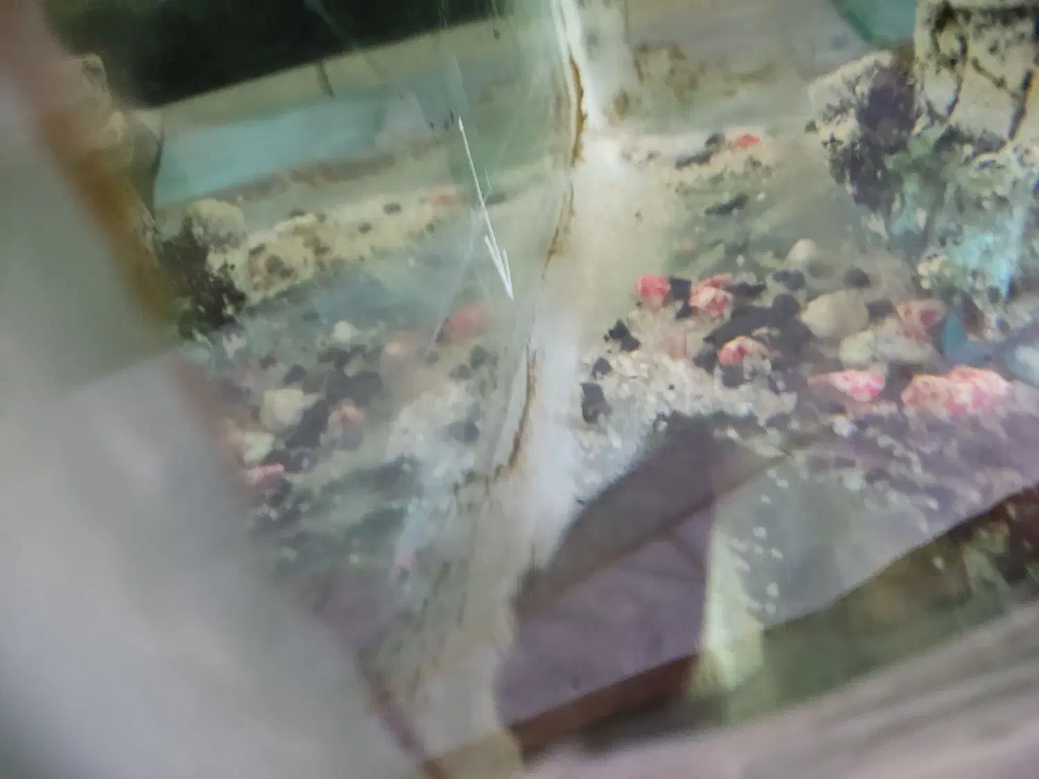 فروش و معاوضه آکواریم شیشه خم|ماهی|اصفهان, ملکشهر|دیوار