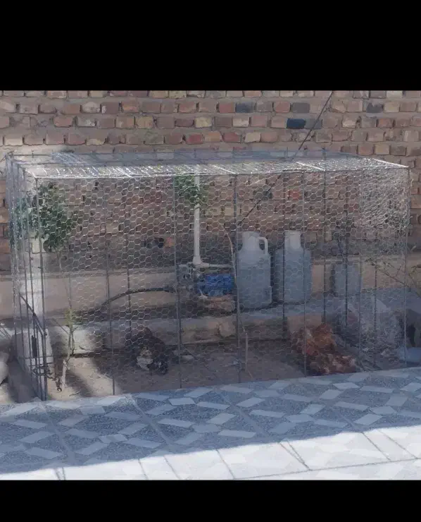 طور و قفس مرغ....|لوازم جانبی حیوانات|خاش, |دیوار