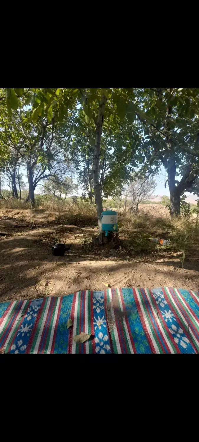 باغ گردو بادام|فروش دفتر صنعتی، کشاورزی، تجاری|نوبران, |دیوار