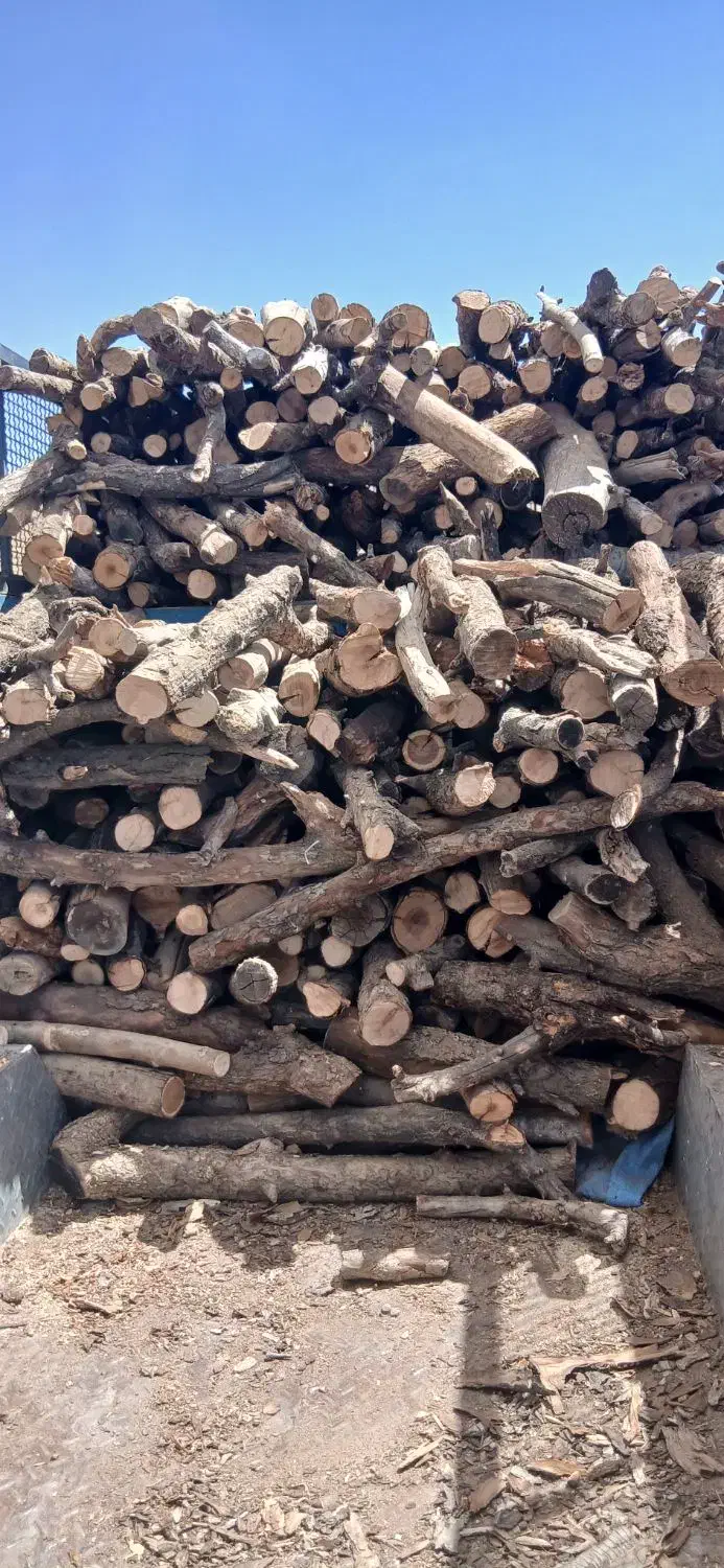 زغال کبابی|عمدهفروشی|ملایر, |دیوار