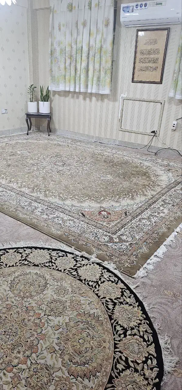 یک فرش ۱۲ متری|فرش|بندرعباس, |دیوار