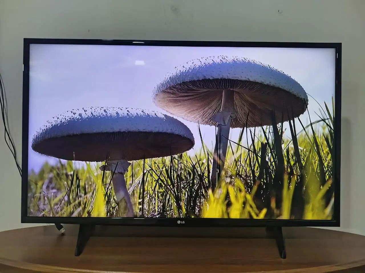 تلوزیون ال ای دی هوشمند ال جی 43اینچ کره ای اصل|تلویزیون و پروژکتور|نورآباد, |دیوار