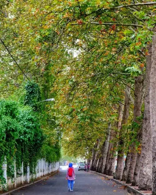 هشتگرد آپارتمان ۳ خوابه زیر قیمت منطقه|فروش آپارتمان|هشتگرد, هشتگرد قدیم|دیوار