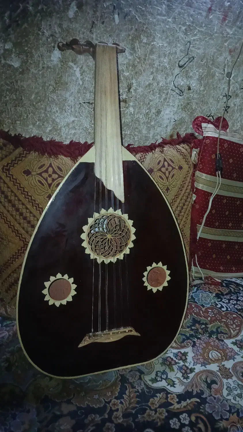 عود ترکی|سازهای سنتی|میناب, |دیوار