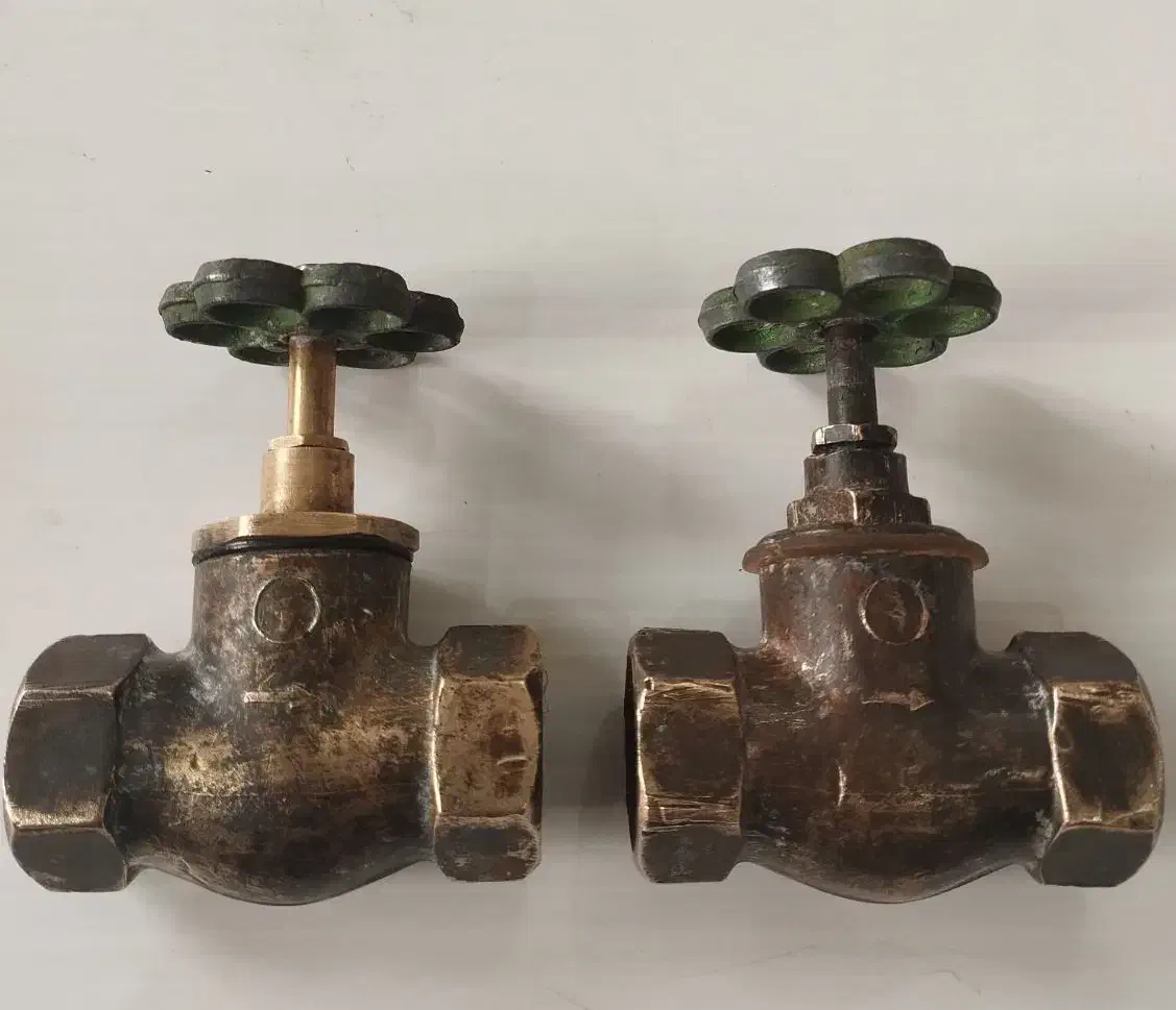 ۲عدد شیر برونزی اصل و قدیمی|کلکسیون اشیاء عتیقه|اردبیل, |دیوار