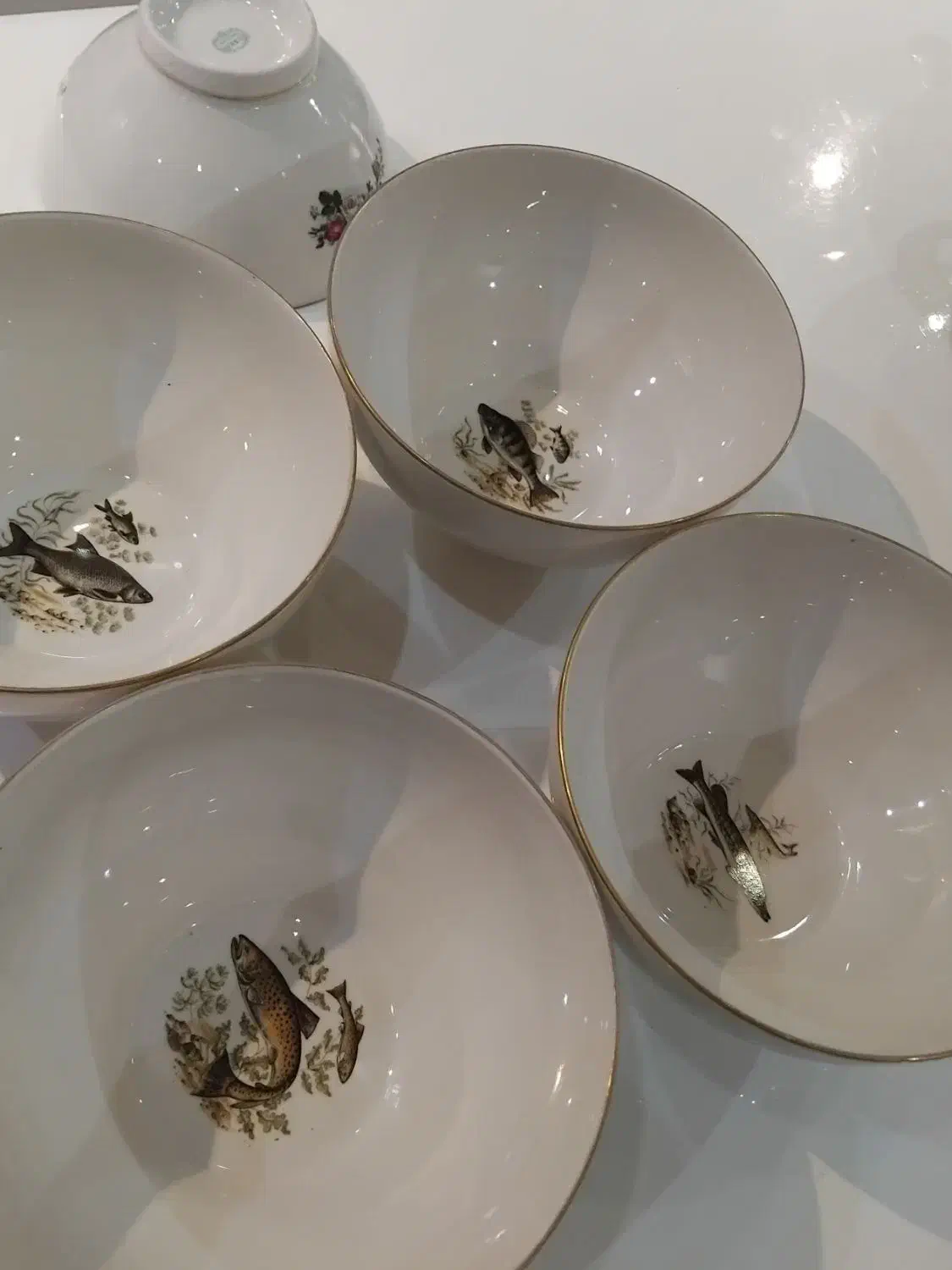 ۴ عدد کاسه پرزلان و دو عددچراغ انتیک|کلکسیون اشیاء عتیقه|رشت, انصاری|دیوار