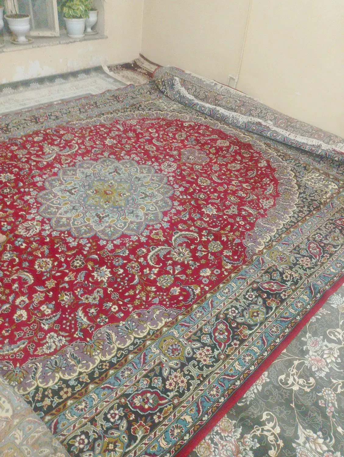 فرش گلباف ۱۲متری|فرش|مشهد, چهاربرج|دیوار