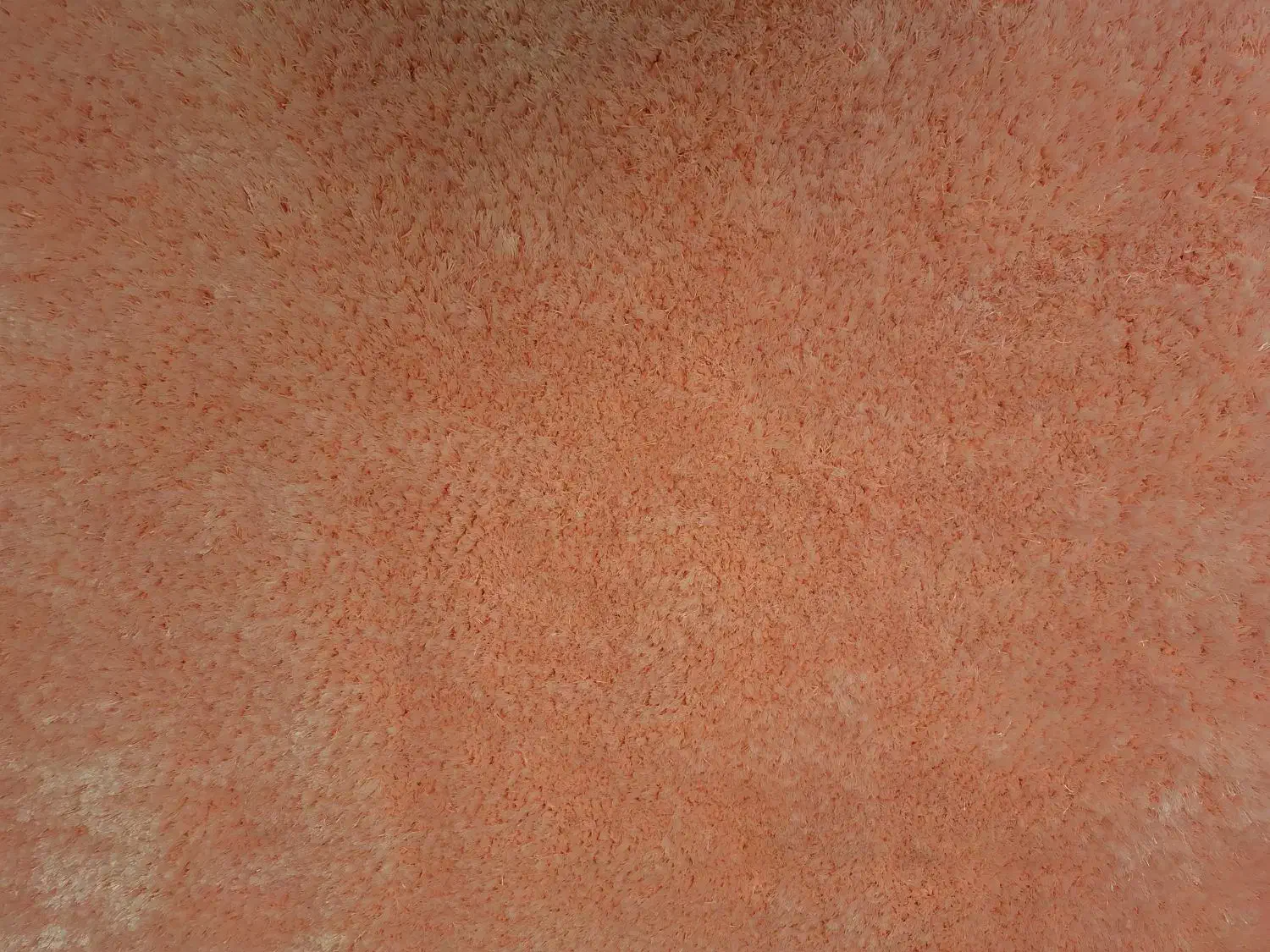 فرش اتاق خواب|فرش|تهران, هفت چنار|دیوار