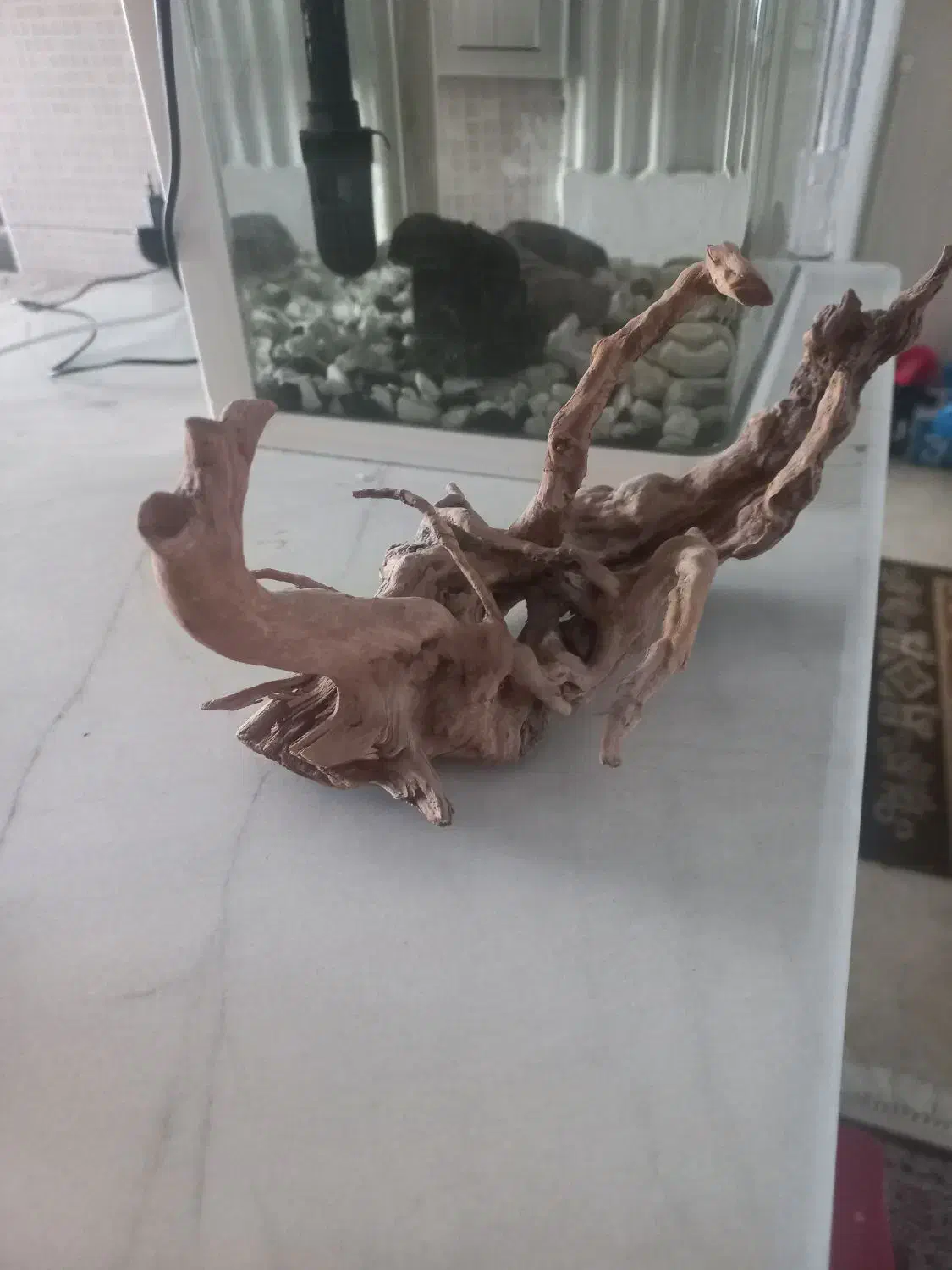 ابنوس اکواریوم|لوازم جانبی حیوانات|اسلامشهر, شهرک واوان|دیوار