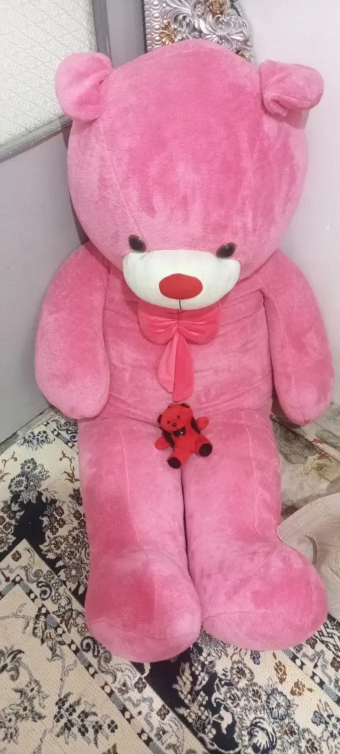 خرس بزرگ|اسباب‌بازی بچه|مشهد, کوی المهدی|دیوار