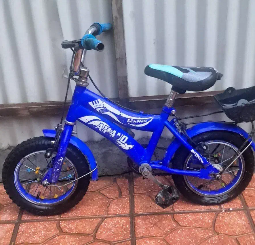 فروش دوچرخه|دوچرخه، اسکیت، اسکوتر|عجب شیر, |دیوار