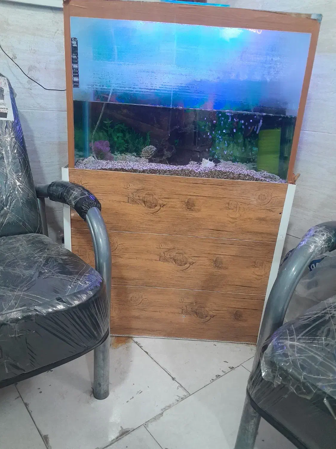 فروش آکواریوم با کلیه لوازم|ماهی|زاهدان, |دیوار