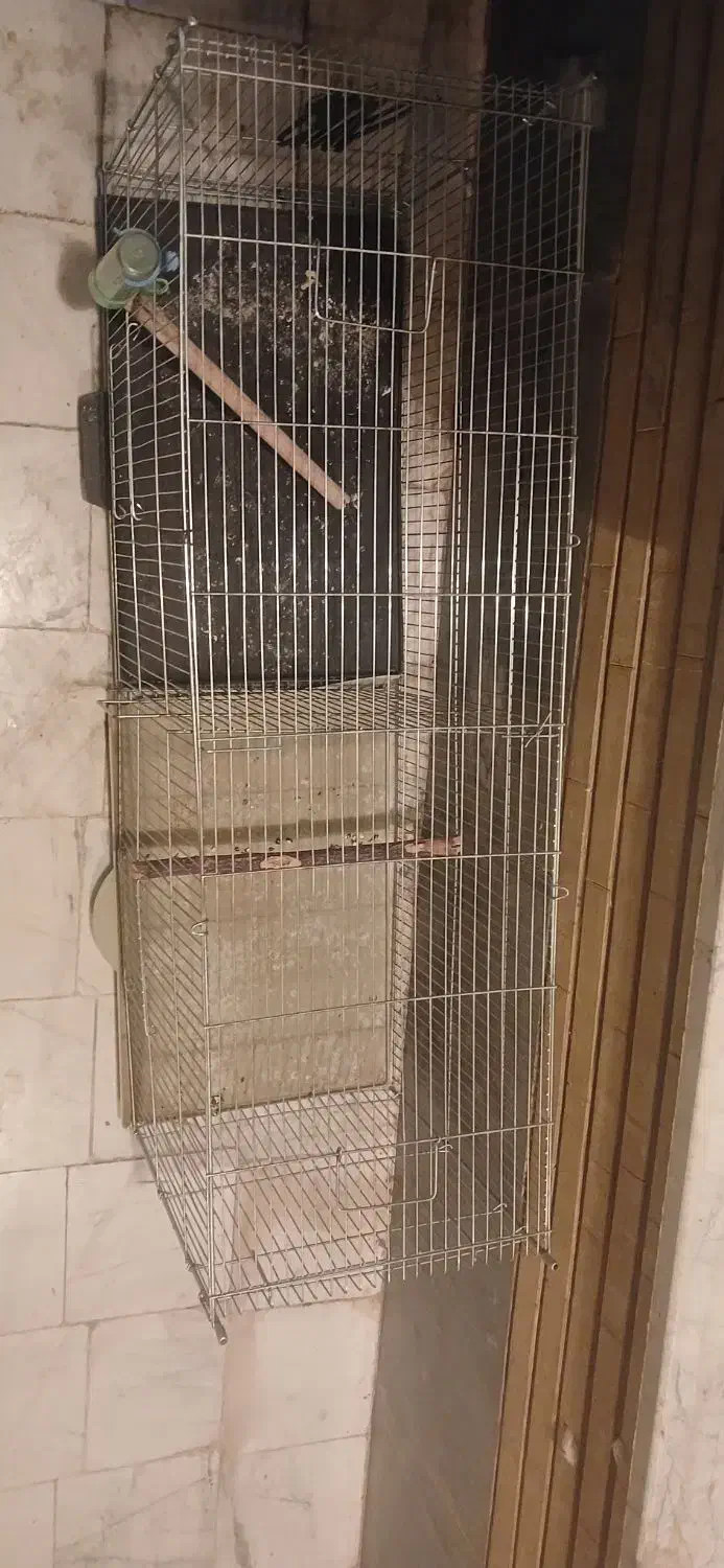 قفس جوجه پران|لوازم جانبی حیوانات|اصفهان, شهرک میلاد|دیوار