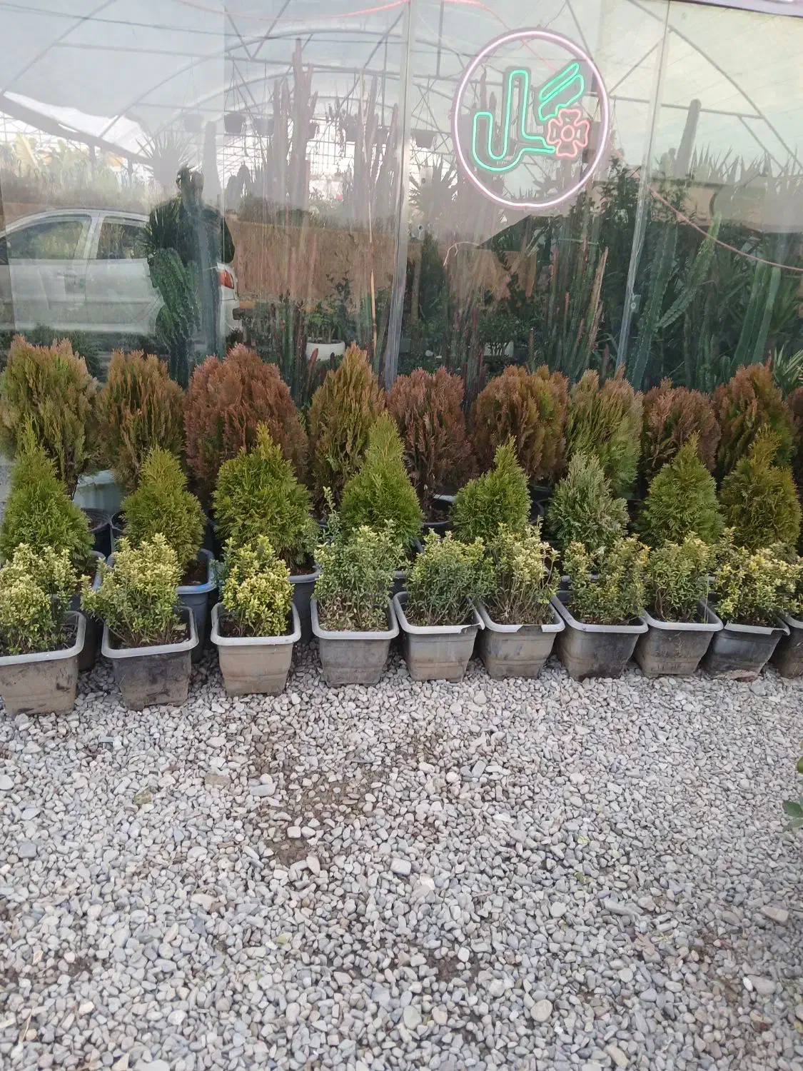 فروش|خدمات باغبانی و درختکاری|تهران, شهرک آتی شهر|دیوار