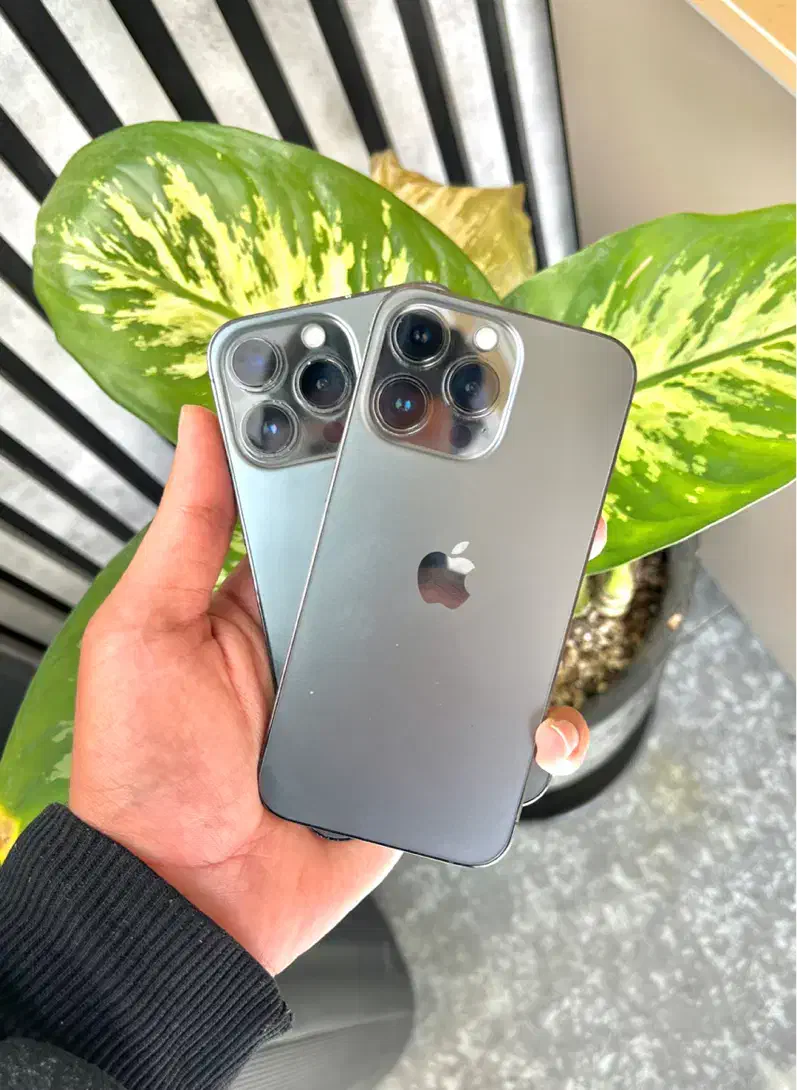 iPhone 13 Pro 256g|موبایل|قم, جهان بینی|دیوار