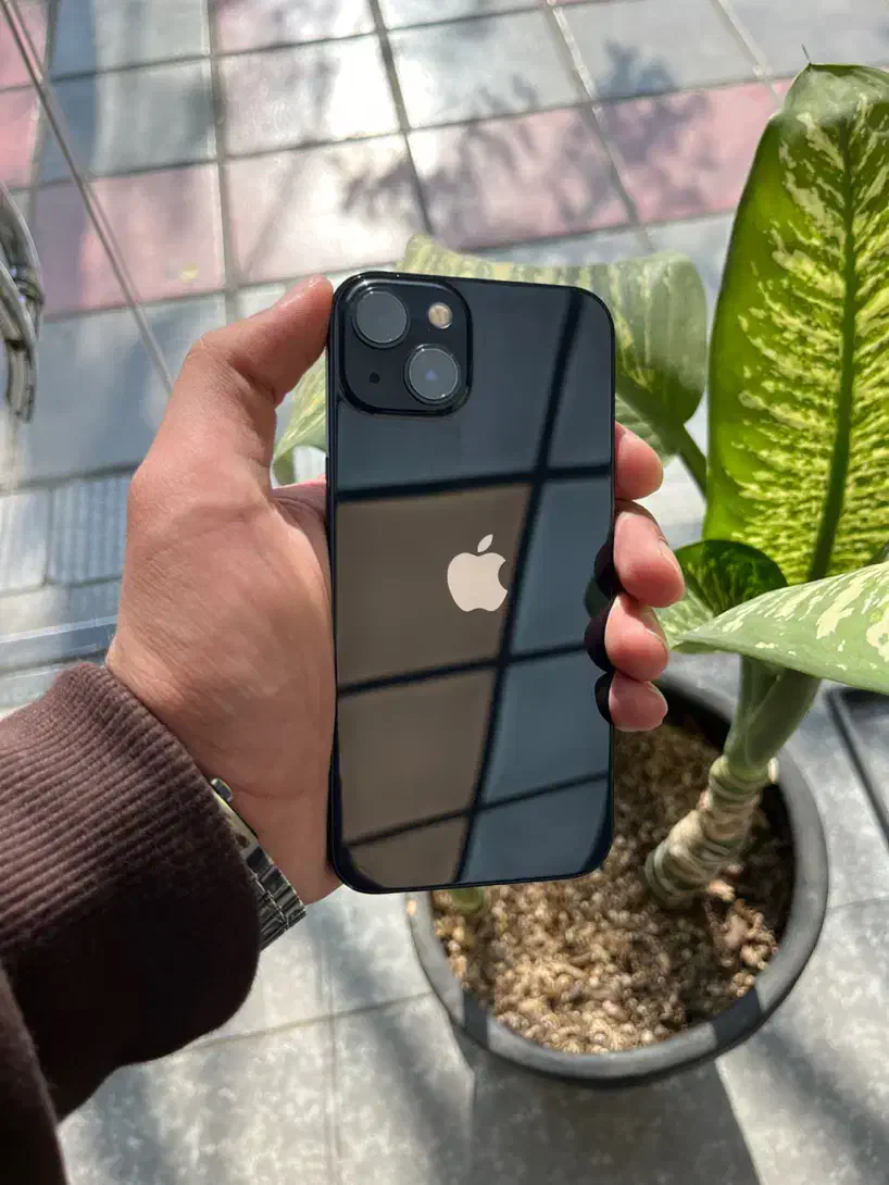 iPhone 13 Zaa با ۸ ماه بیمه|موبایل|قم, زنبیل آباد|دیوار