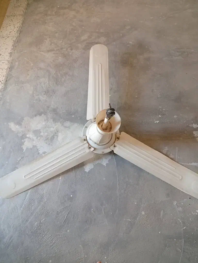 فروش پنکه سقفی|پنکه و تصفیه‌کنندهٔ هوا|لیکک, |دیوار